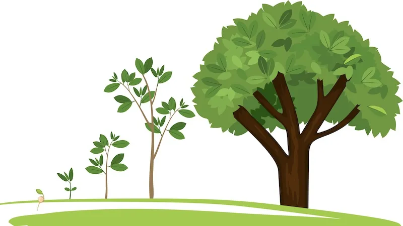 Procurement Strategy Development Process