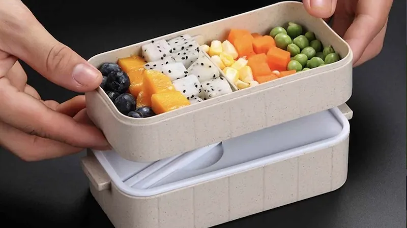 Best Biodegradable Takeout Containers for Your Business