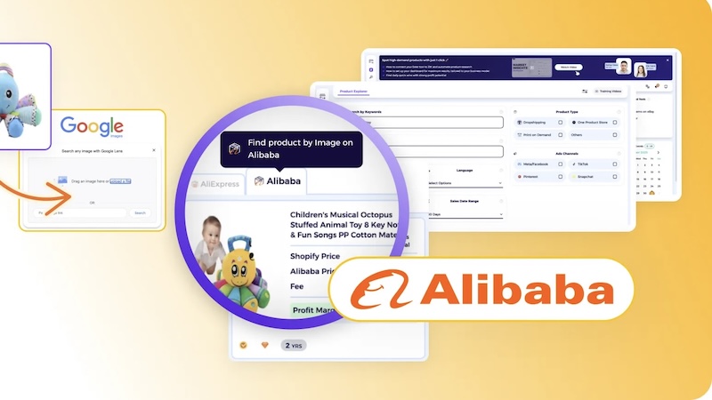 Buyer searching on Alibaba
